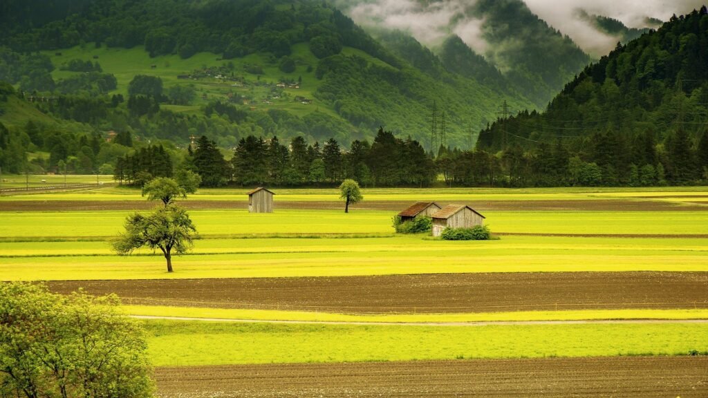 Farm field in the summer time with huts on the land 