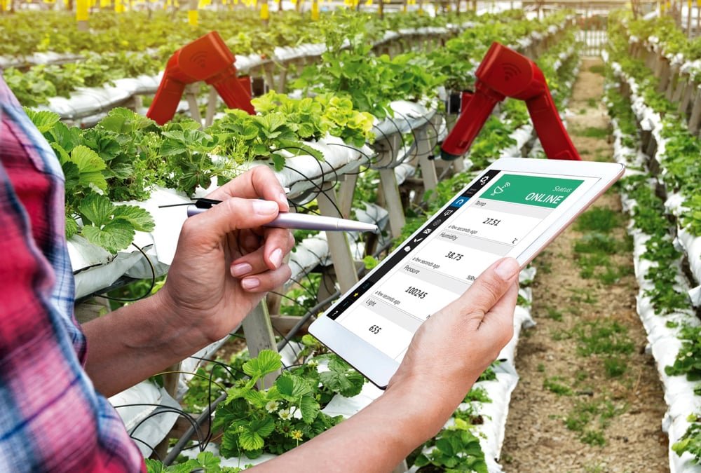 Man holding tablet and controlling operations on his field of crops